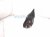 2000 Toyota Tacoma Rear Passenger Side View Mirror Black 87910 04080 Replacement 2000 Toyota Tacoma Rear Passenger Side View Mirror Black 87910 04080 Replacement thumbnail