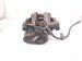 2021 Acura TLX Rear Passenger Brake Caliper 43018 TJB A02 Replacement 2021 Acura TLX Rear Passenger Brake Caliper 43018 TJB A02 Replacement thumbnail