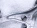 2021 Acura TLX Front Passenger Lower Control Arm 51350 TGV A04 Replacement 2021 Acura TLX Front Passenger Lower Control Arm 51350 TGV A04 Replacement thumbnail