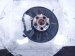 2021 Acura TLX Axle Stub Rear Passenger Spindle Knuckle Hub Fwd 52210 TGV A01 Replacement 2021 Acura TLX Axle Stub Rear Passenger Spindle Knuckle Hub Fwd 52210 TGV A01 Replacement thumbnail