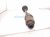 2021 Acura TLX Front Passenger Outer Cv Axle Drive Shaft 44305 TGV A01 Replacement 2021 Acura TLX Front Passenger Outer Cv Axle Drive Shaft 44305 TGV A01 Replacement thumbnail
