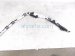 2021 Acura TLX Driver Roof Curtain Airbag 78875 TGV A84 Replacement 2021 Acura TLX Driver Roof Curtain Airbag 78875 TGV A84 Replacement thumbnail