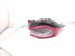 2021 Acura TLX Light / Rear Driver Tail Lamp (on Body) 33550 TGV A12 Replacement 2021 Acura TLX Light / Rear Driver Tail Lamp (on Body) 33550 TGV A12 Replacement thumbnail