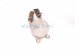 2018 Toyota Tacoma Transmission Oil Cooler 3.5l 15710 0P020 Replacement 2018 Toyota Tacoma Transmission Oil Cooler 3.5l 15710 0P020 Replacement thumbnail