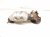 2015 Lexus Rx350 Rear Exhaust Manifold 17150 31810 Replacement 2015 Lexus Rx350 Rear Exhaust Manifold 17150 31810 Replacement thumbnail