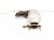 2015 Lexus Rx350 Rear Exhaust Manifold 17150 31810 Replacement 2015 Lexus Rx350 Rear Exhaust Manifold 17150 31810 Replacement thumbnail