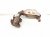 2015 Lexus Rx350 Rear Exhaust Manifold 17150 31810 Replacement 2015 Lexus Rx350 Rear Exhaust Manifold 17150 31810 Replacement thumbnail