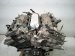 2015 Lexus Rx350 Long Block Engine / Motor = 89k Mi 19000 31J60 Replacement 2015 Lexus Rx350 Long Block Engine / Motor = 89k Mi 19000 31J60 Replacement thumbnail