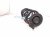 2023 Honda Accord Strut / / Shock Absorber Rear Passenger Coil Spring Sport 2.0l 52441 30A A51 Replacement 2023 Honda Accord Strut / / Shock Absorber Rear Passenger Coil Spring Sport 2.0l 52441 30A A51 Replacement thumbnail