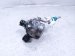 2025 Honda Civic High Pressure Fuel Pump Engine Mtd 06161 6MA 306 Replacement 2025 Honda Civic High Pressure Fuel Pump Engine Mtd 06161 6MA 306 Replacement thumbnail