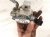 2025 Honda Pilot High Pressure Fuel Pump Engine Mtd 06161 6FB 305 Replacement 2025 Honda Pilot High Pressure Fuel Pump Engine Mtd 06161 6FB 305 Replacement thumbnail