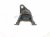 2025 Honda Pilot Engine/motor Passenger Side Engine Mount 3.5l Awd 50820 TYA A01 Replacement 2025 Honda Pilot Engine/motor Passenger Side Engine Mount 3.5l Awd 50820 TYA A01 Replacement thumbnail