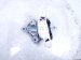 2025 Honda Civic Engine/motor Driver Transmission Mount 2.0l Fwd 50850 T56 A11 Replacement 2025 Honda Civic Engine/motor Driver Transmission Mount 2.0l Fwd 50850 T56 A11 Replacement thumbnail