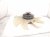 2018 Toyota Tacoma Fan Blade W/clutch 3.5l 4x2 16361 0P381 Replacement 2018 Toyota Tacoma Fan Blade W/clutch 3.5l 4x2 16361 0P381 Replacement thumbnail