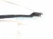 2019 Toyota C HR Passenger Windshield Wiper Arm *japan 85211 10160 Replacement 2019 Toyota C HR Passenger Windshield Wiper Arm *japan 85211 10160 Replacement thumbnail