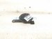 2019 Toyota C HR Low Note Horn Driver 86520 10270 Replacement 2019 Toyota C HR Low Note Horn Driver 86520 10270 Replacement thumbnail