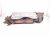 2021 Honda Accord Engine Cylinder Head Exhaust Manifold 2.0t 18150 6B2 L00 Replacement 2021 Honda Accord Engine Cylinder Head Exhaust Manifold 2.0t 18150 6B2 L00 Replacement thumbnail