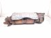 2021 Honda Accord Engine Cylinder Head Exhaust Manifold 2.0t 18150 6B2 L00 Replacement 2021 Honda Accord Engine Cylinder Head Exhaust Manifold 2.0t 18150 6B2 L00 Replacement thumbnail