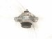 2020 Land Rover Range Rover Sport Engine/motor Driver Engine Mount 3.0l Awd LR179381 Replacement 2020 Land Rover Range Rover Sport Engine/motor Driver Engine Mount 3.0l Awd LR179381 Replacement thumbnail
