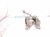 2021 Honda Accord Engine/motor Transmission Mount 2.0t 50850 TVC A33 Replacement 2021 Honda Accord Engine/motor Transmission Mount 2.0t 50850 TVC A33 Replacement thumbnail