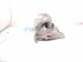 2021 Honda Accord Engine/motor Transmission Mount 2.0t 50850 TVC A33 Replacement 2021 Honda Accord Engine/motor Transmission Mount 2.0t 50850 TVC A33 Replacement thumbnail