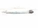 2016 Honda Accord Front Driver Window Regulator & Motor 72250 T3L A11 Replacement 2016 Honda Accord Front Driver Window Regulator & Motor 72250 T3L A11 Replacement thumbnail