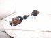 2018 Honda Civic Front Passenger Cv Axle Drive Shaft 44305 TGH A02 Replacement 2018 Honda Civic Front Passenger Cv Axle Drive Shaft 44305 TGH A02 Replacement thumbnail