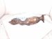 2018 Toyota Tacoma Passenger Exhaust Manifold 3.5l 17140 0P320 Replacement 2018 Toyota Tacoma Passenger Exhaust Manifold 3.5l 17140 0P320 Replacement thumbnail