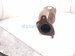 2018 Toyota Tacoma Passenger Exhaust Manifold 3.5l 17140 0P320 Replacement 2018 Toyota Tacoma Passenger Exhaust Manifold 3.5l 17140 0P320 Replacement thumbnail