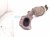 2018 Toyota Tacoma Passenger Exhaust Manifold 3.5l 17140 0P320 Replacement 2018 Toyota Tacoma Passenger Exhaust Manifold 3.5l 17140 0P320 Replacement thumbnail