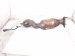 2018 Toyota Tacoma Passenger Exhaust Manifold Oxygen Sensor 89467 04130 Replacement 2018 Toyota Tacoma Passenger Exhaust Manifold Oxygen Sensor 89467 04130 Replacement thumbnail