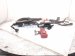 2018 Toyota Tacoma Starter Battery Cable Assy 82122 04361 Replacement 2018 Toyota Tacoma Starter Battery Cable Assy 82122 04361 Replacement thumbnail