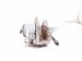 2025 Toyota Camry Rear Passenger Brake Caliper 47830 06170 Replacement 2025 Toyota Camry Rear Passenger Brake Caliper 47830 06170 Replacement thumbnail