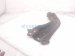 2025 Toyota Camry Rear Passenger Trailing Lower Control Arm 48760 06310 Replacement 2025 Toyota Camry Rear Passenger Trailing Lower Control Arm 48760 06310 Replacement thumbnail