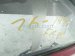 2025 Toyota Camry Front Passenger Door Red No Mirror/trim* 67001 AQ010 Replacement 2025 Toyota Camry Front Passenger Door Red No Mirror/trim* 67001 AQ010 Replacement thumbnail