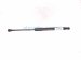 2018 Audi A5 Audi Fr Hood Shock Strut 8W0 823 359 C Replacement 2018 Audi A5 Audi Fr Hood Shock Strut 8W0 823 359 C Replacement thumbnail