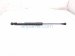2018 Audi A5 Audi Fr Hood Shock Strut 8W0 823 359 C Replacement 2018 Audi A5 Audi Fr Hood Shock Strut 8W0 823 359 C Replacement thumbnail