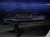 2021 Toyota Highlander Rear Driver Door Blue No Inside Trim 67004 0E190 Replacement 2021 Toyota Highlander Rear Driver Door Blue No Inside Trim 67004 0E190 Replacement thumbnail