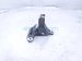 2020 Honda Odyssey Engine/motor Transmission Mount Brkt 3.5l Fwd 50630 TZ5 A01 Replacement 2020 Honda Odyssey Engine/motor Transmission Mount Brkt 3.5l Fwd 50630 TZ5 A01 Replacement thumbnail