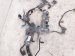 2021 Acura TLX Engine Wire Harness 3.0l Awd 32110 6S9 A50 Replacement 2021 Acura TLX Engine Wire Harness 3.0l Awd 32110 6S9 A50 Replacement thumbnail