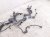 2021 Acura TLX Engine Wire Harness 3.0l Awd 32110 6S9 A50 Replacement 2021 Acura TLX Engine Wire Harness 3.0l Awd 32110 6S9 A50 Replacement thumbnail