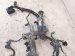 2021 Acura TLX Engine Wire Harness 3.0l Awd 32110 6S9 A50 Replacement 2021 Acura TLX Engine Wire Harness 3.0l Awd 32110 6S9 A50 Replacement thumbnail
