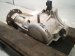 2023 Honda Ridgeline A/t Transfer Case Awd 29000 5MK 000 Replacement 2023 Honda Ridgeline A/t Transfer Case Awd 29000 5MK 000 Replacement thumbnail