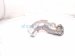 2021 Honda Accord Turbocharger Outlet Pipe 2.0t 17280 6B2 A00 Replacement 2021 Honda Accord Turbocharger Outlet Pipe 2.0t 17280 6B2 A00 Replacement thumbnail