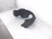 2022 Honda HR V Front Driver Inner Fender Liner 74150 T7W A50 Replacement 2022 Honda HR V Front Driver Inner Fender Liner 74150 T7W A50 Replacement thumbnail
