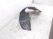 2025 Honda Civic Front Driver Inner Fender Liner 74150 T56 A00 Replacement 2025 Honda Civic Front Driver Inner Fender Liner 74150 T56 A00 Replacement thumbnail