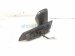 2019 Toyota C HR Rear Passenger Side View Mirror Grey 87910 F4040 Replacement 2019 Toyota C HR Rear Passenger Side View Mirror Grey 87910 F4040 Replacement thumbnail