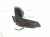 2019 Toyota C HR Rear Driver Side View Mirror Grey 87940 F4040 Replacement 2019 Toyota C HR Rear Driver Side View Mirror Grey 87940 F4040 Replacement thumbnail