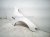 2011 BMW 750li Front Passenger Fender White 41007261462 Replacement 2011 BMW 750li Front Passenger Fender White 41007261462 Replacement thumbnail