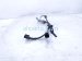 2020 Honda Odyssey Rear Driver Abs Epb Wire Harness 3.5l 47560 THR A02 Replacement 2020 Honda Odyssey Rear Driver Abs Epb Wire Harness 3.5l 47560 THR A02 Replacement thumbnail